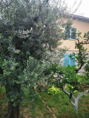 Rustic House Budva